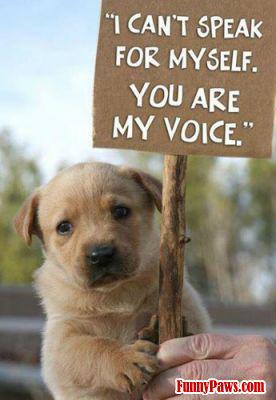 RT if you will be their voice. #MakeCrueltyHistory
