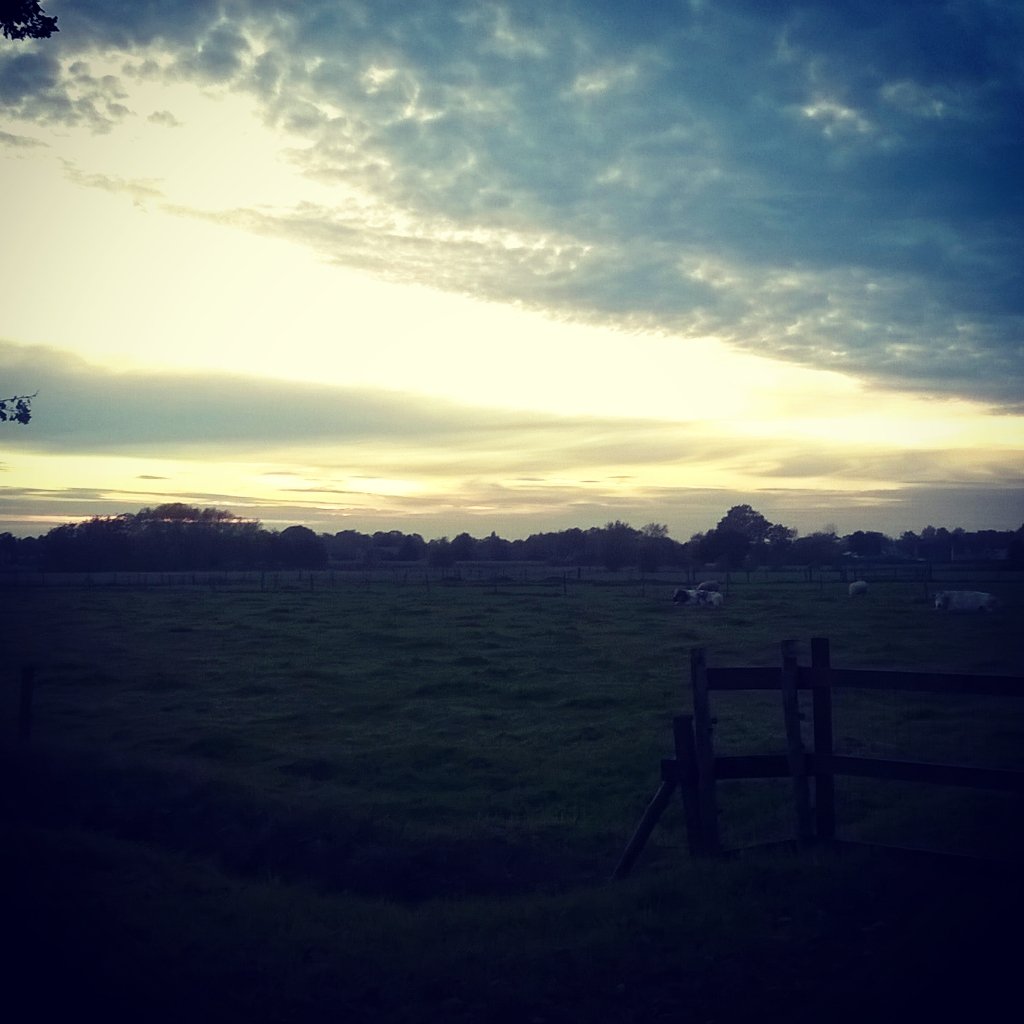 FienDelbaere's tweet photo. First training done! @teamTSVLA #tsvla #run #season2016 #nofilter #oif https://t.co/0uop1MhIVq