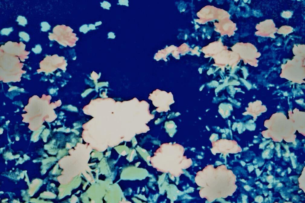 40photography's tweet photo. #ArtPhotography #StreetPhotography #SnapShot #FineArt #ContemporaryArt https://t.co/WanOaIrFIl