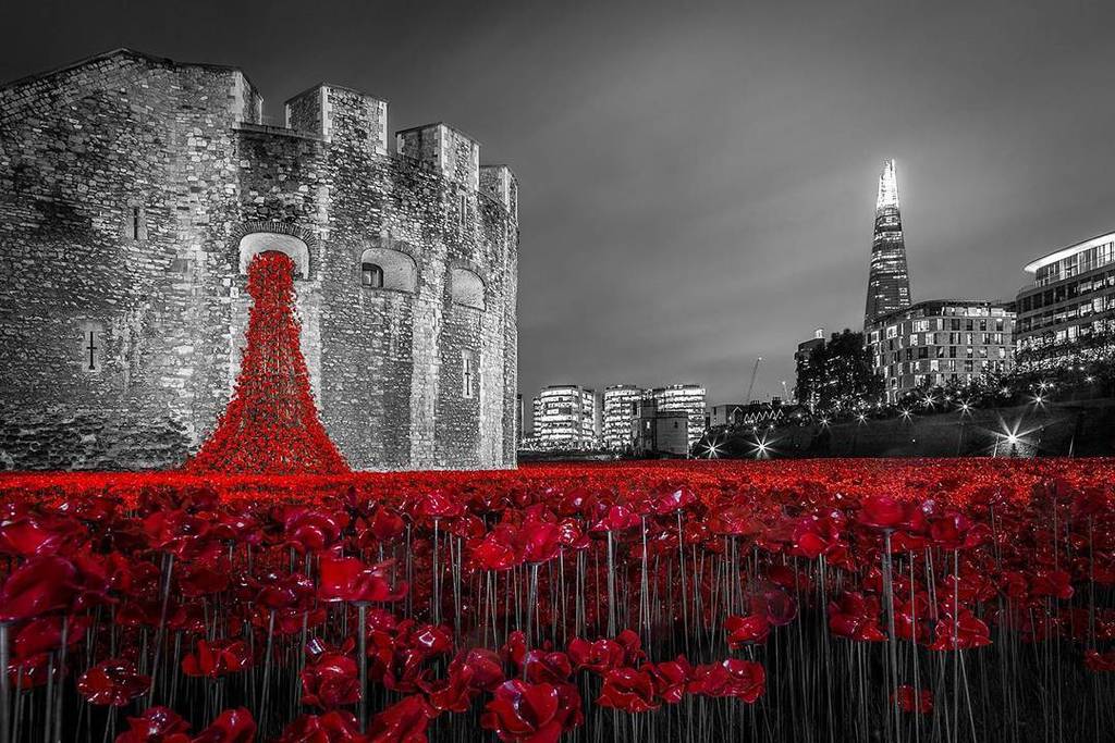 ongalleryart's tweet photo. #armisticeday #seasofred #toweroflondon #mattfreestone @mattfphotos #11thnovember https://t.co/yvao1fIFi5 https://t.co/ohW6dpsLBE