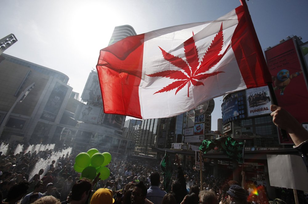 cannabis4lyfe's tweet photo. Canada’s New Prime Minister Promises To Legalize Marijuana https://t.co/8bnRNUBjJ8 #marijuana https://t.co/fGehzi9XbX