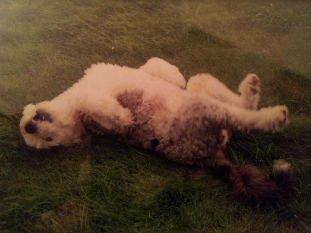 Miss you, puppy xx