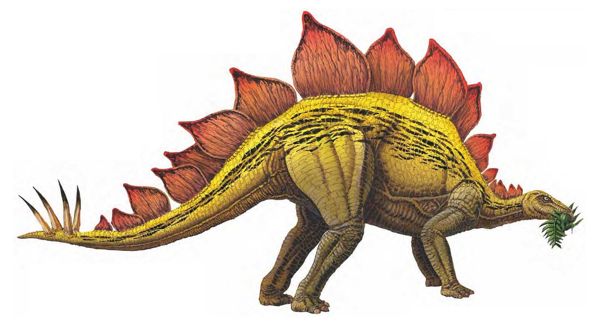 ottoolah's tweet photo. Könnyen kiszámolható a dinoszaurusz szabályból az Apple jövője #justgoodscience :D https://t.co/yqaR1mzEWc https://t.co/w7sx6AMfWm