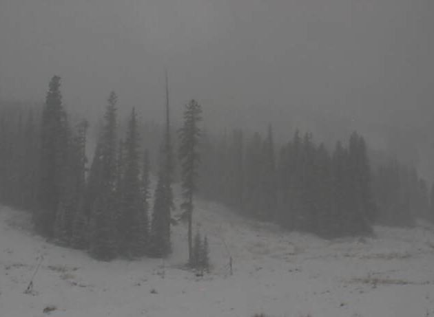 BianchiWeather's tweet photo. Check out @EldoraMtnResort (Boulder County, ~40 miles NW of Denver) getting heavy snow! #cowx https://t.co/uweRtzQ66t