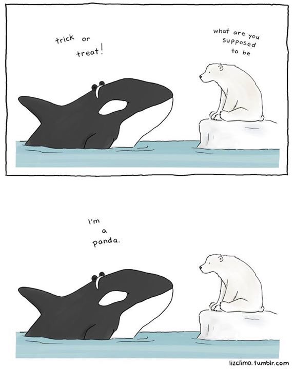 Emarketeers2's tweet photo. Even the animals are gearing up for Halloween👻🐋🐻 #Mktg331 #QuickLaughter https://t.co/5AGwWGw4ip