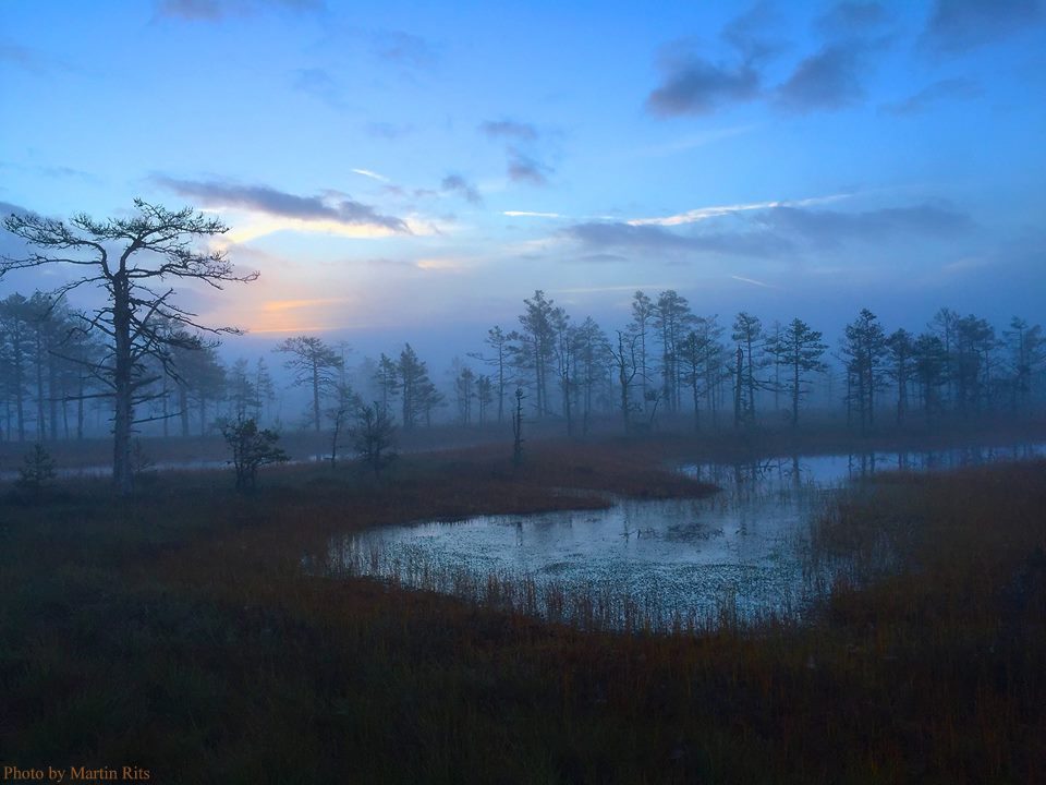 estembassyuk's tweet photo. Start packing your bags: #Estonia is @lonelyplanet's best value destination for 2016 https://t.co/7qg3SoMMpR https://t.co/6K1C8ZsR8t