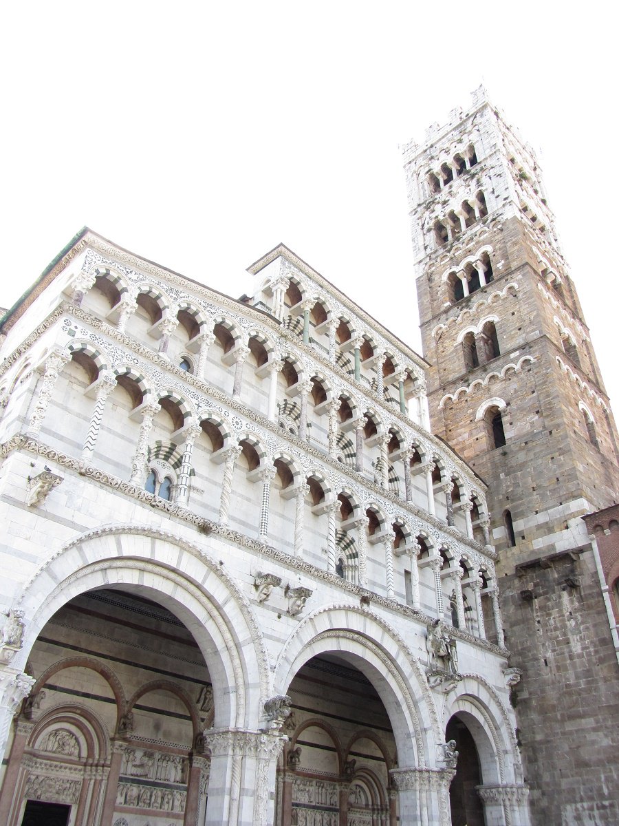 Discover Lucca tweet media