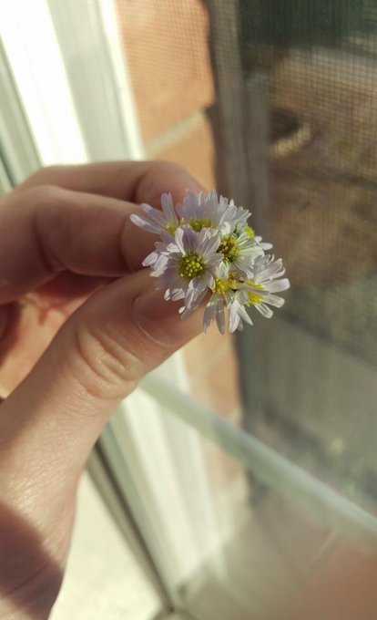 Watch ≫ BirdyLovesIt ≪'s leaked NSFW photo on TwXstars