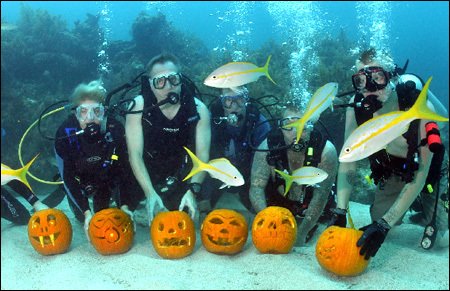 ManoaAdmissions's tweet photo. Where will you be this Halloween? #Hawaii #Aloha #Join #UHMLife https://t.co/YNPC9zKgdJ