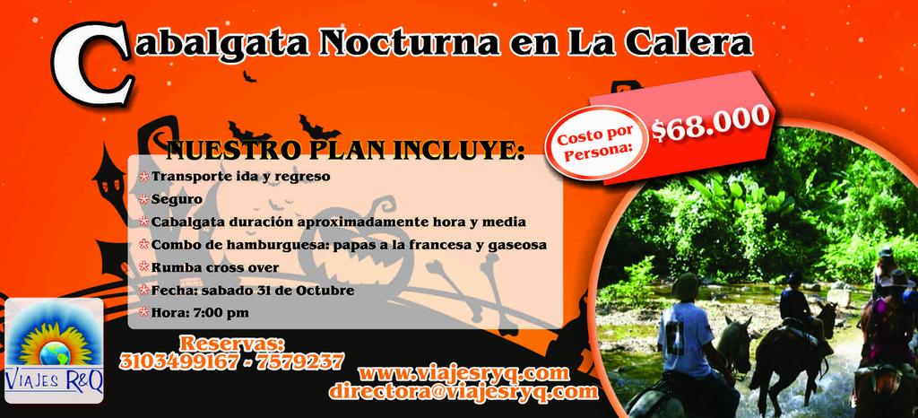 directora4 tweet picture