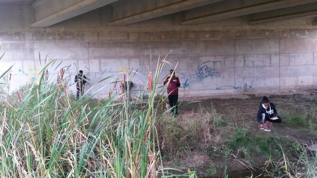 Painting ecosystems <a href="/DavidSuzukiSS/">David Suzuki Secondary School</a>