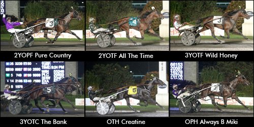 trotinsider's tweet photo. On Saturday, trainer Jimmy Takter set a single card earnings record https://t.co/mortvE84Hr #harnessracing #Crown15 https://t.co/hkg3R0hyrL