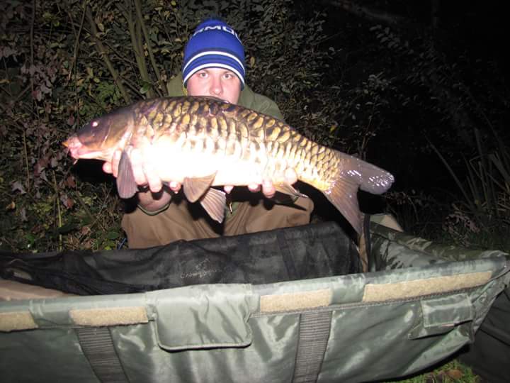 kony81's tweet photo. 3 from last weekend biggest 22lb06oz #TheYearOfAshima @Ashimauk @KarpSquad https://t.co/II7WTB70Ku