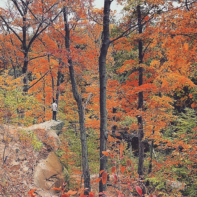 OHHeartofitAll's tweet photo. Stop. Breath. Take in the view of #ohio #fall #cascadepark #ohiogram @buzzybuzzin https://t.co/D8uYrDB3ld