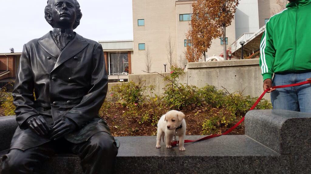 SpottedLaurier's tweet photo. a new addition to the Laurier community https://t.co/LLtVouLDKb