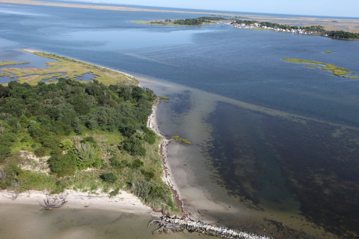 ‘Living shoreline’ helps nature stand against the storm in the #ChesBay on.doi.gov/1POP8R4 #StrongAfterSandy