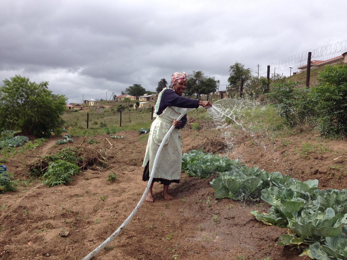 flexipump's tweet photo. From 2 hours watering by bucket to 15 mins by #flexipump - Mrs Nongoma is a very happy lady! https://t.co/eUAMOEnsBM https://t.co/ydgqiaaJs0