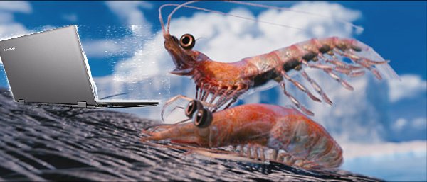 _juliaedelman's tweet photo. Netflix and krill https://t.co/1p6th8ChFl