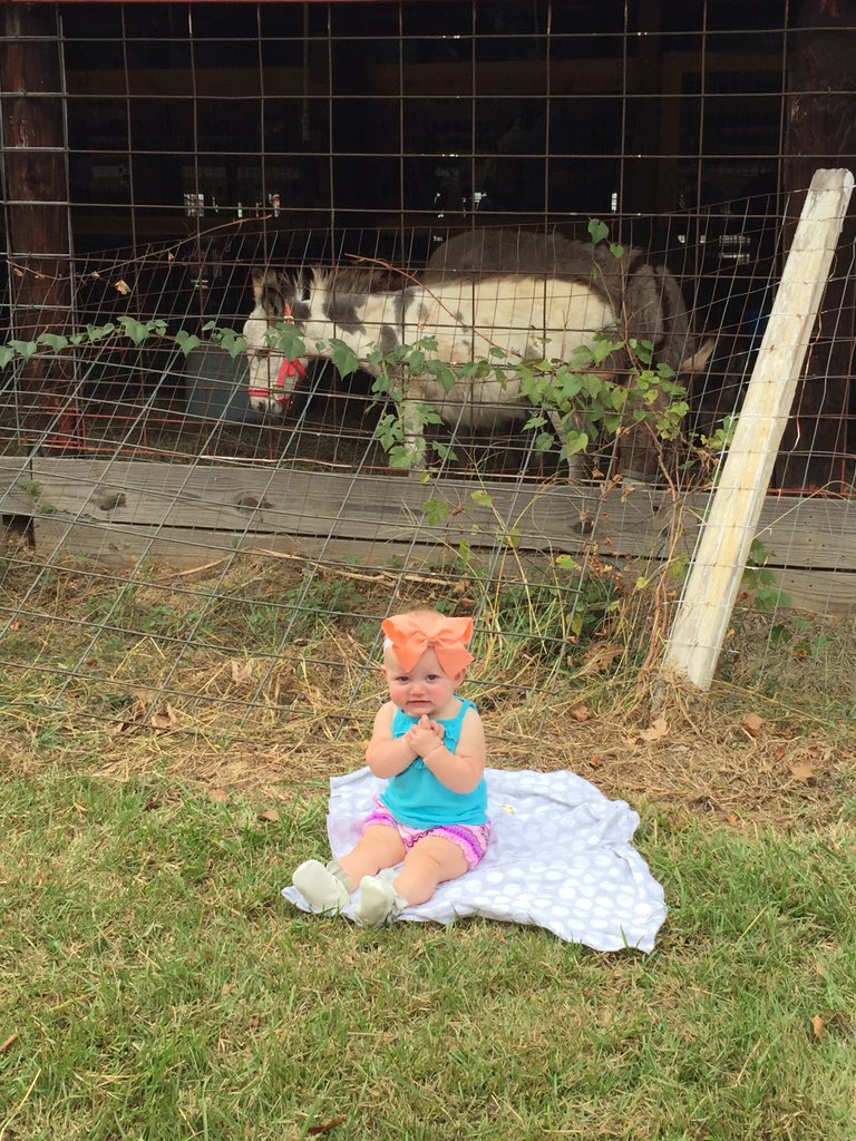 Malloree1112's tweet photo. My sweet little dumpling @ old McDonald's Farm #firsttime #WPFF2015 #myheart #daddysgirl #mommasworld https://t.co/HbmJXupJZo