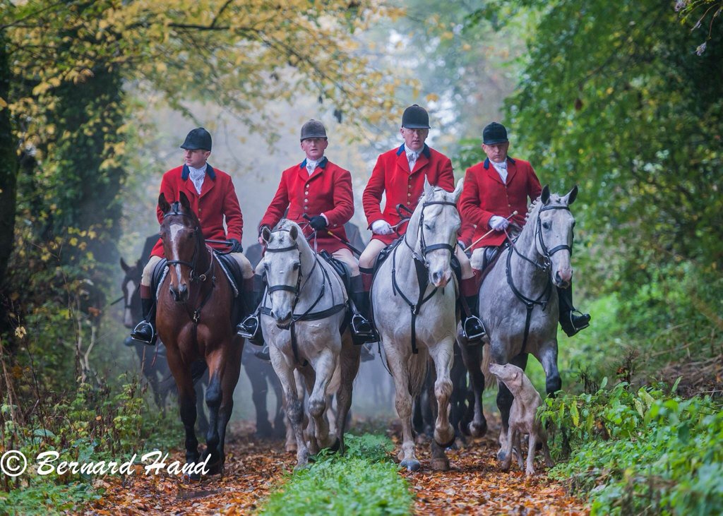 realKCC's tweet photo. Our chairman Bernard Hand spent last few days out photographing the Meath Hunt #meathhunt #horses #dogs #photography https://t.co/evWJbwf7nY