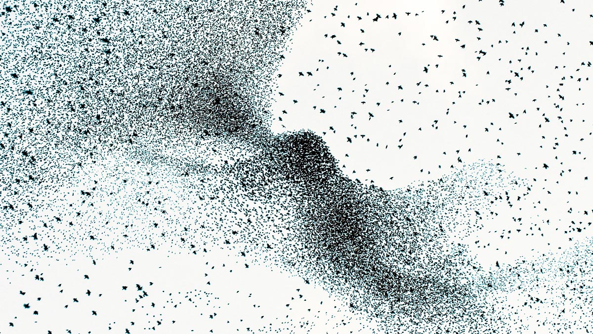 Scale is no longer an advantage. More M&amp;As proves it: s.hbr.org/1MQzcaG