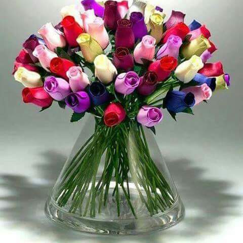 FkirAsada's tweet photo. https://t.co/ZX6nGp0hye