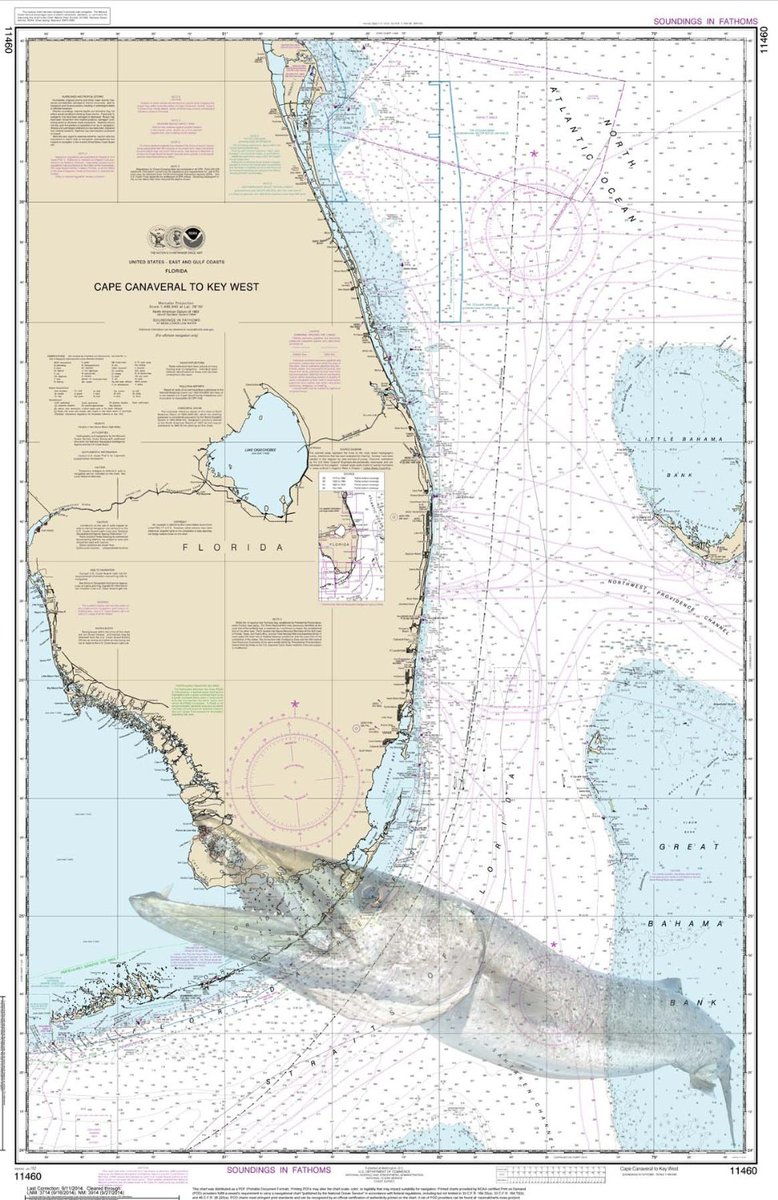 TextilePrinters's tweet photo. #CapeCanaveral we have a #LargeVariety of #Nautical prints on #sailcloth with images to fit your #personality! #UTP https://t.co/Kp3S7vAkcs