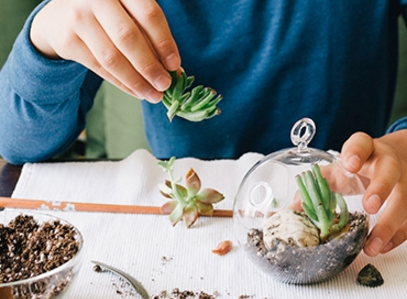 deltafaucet's tweet image. A little #ThanksgivingHack: Make your own modern terrarium centerpiece: bit.ly/1E44ihn