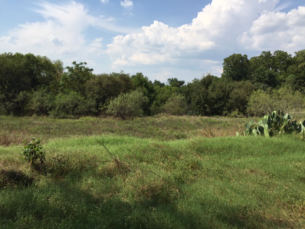 gavin_catherine's tweet photo. Excited for @FCDC_Austin in November at #CircleAcres @EcologyActionTx @rolandsnooks @INVIVIA @KoryBieg #op.al https://t.co/wUTqqo3Wmc
