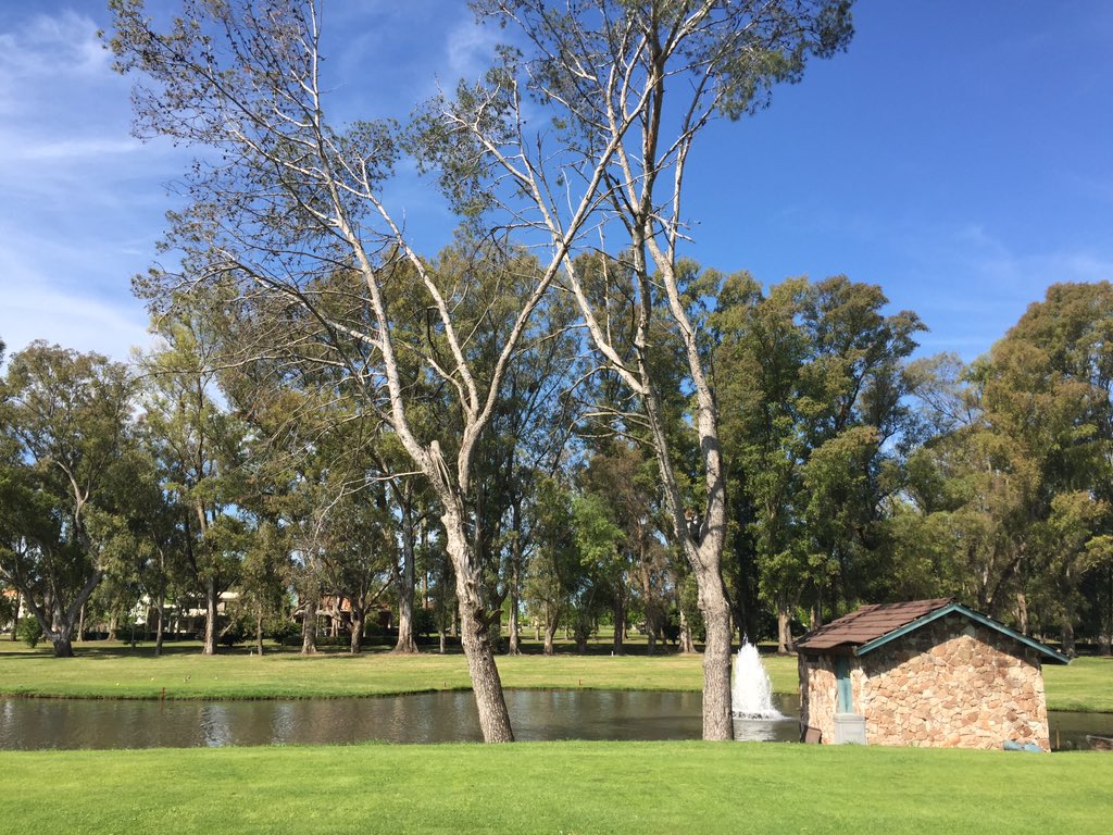 pablopaulok's tweet photo. Hermoso dia en Sofitel. @GolfArg #golf https://t.co/5lYYUoQJJg