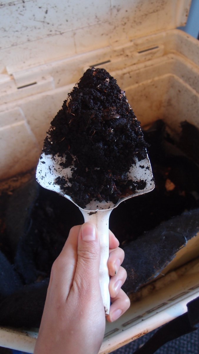 actionrebuts's tweet photo. Chez Action RE-buts, on fait du vermicompost !
#superilsrécupèrent #mardiDD #SQRD https://t.co/10HAlbDopO