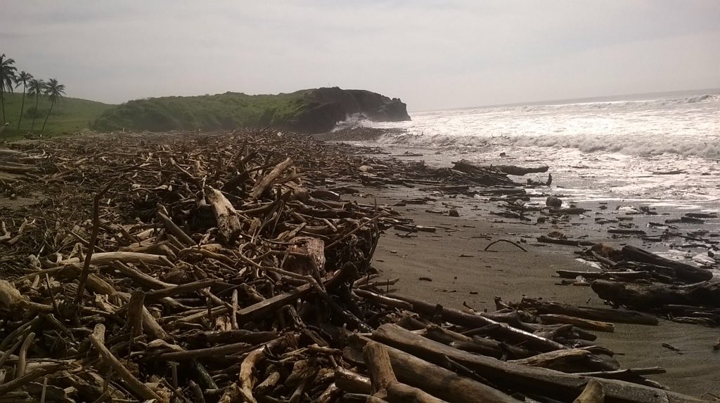 Mínimos, los daños ambientales por el paso de 'Patricia': PROFEPA - CSWXuRDUkAAgH1X