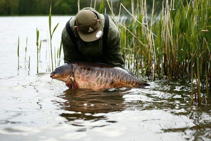 Midlands Big Pit. Melted cheese.