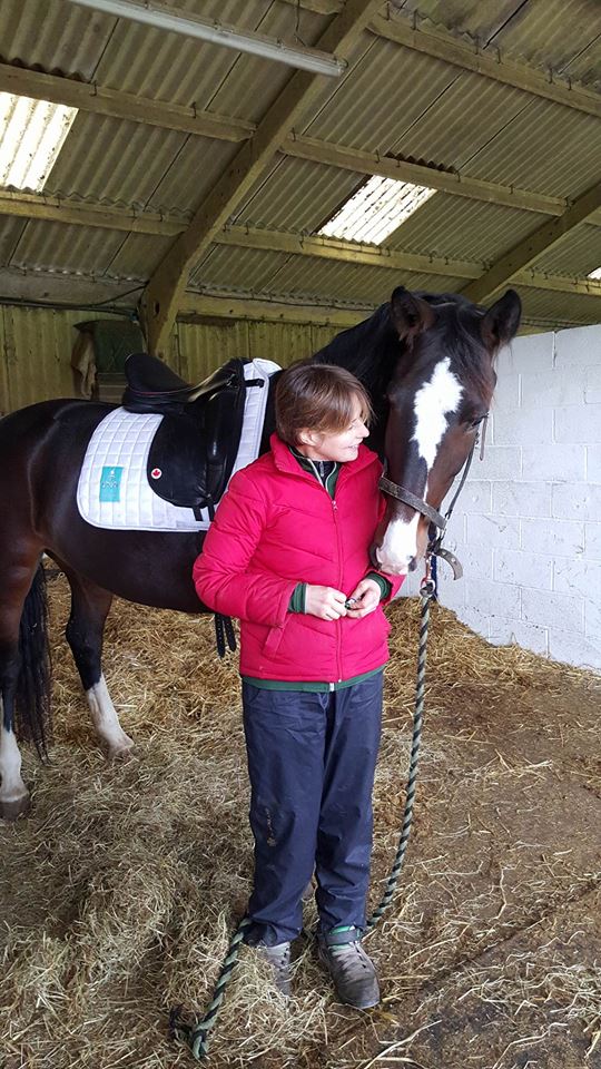 hopalongrider's tweet photo. Hello #DressageHour! Winter is time for #ProjectPonies. This is my cutie - Wonky #WonkyHorse https://t.co/DJnCsSXRta https://t.co/M0xLlYJZQs
