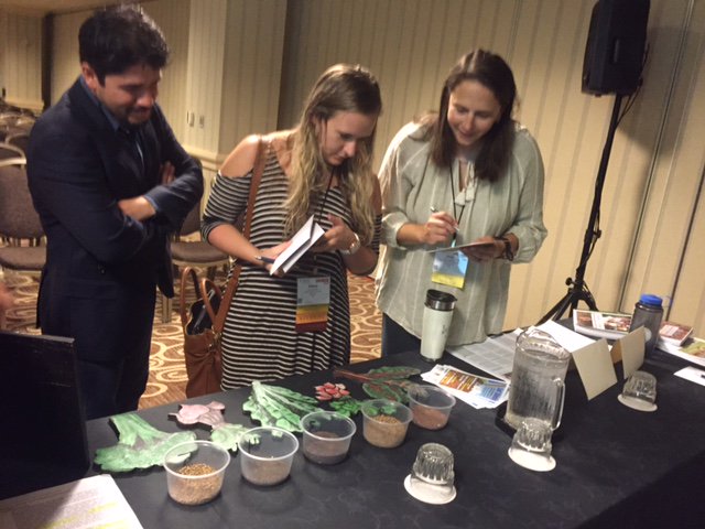 FarmBasedEd's tweet photo. @suziesfarm #farmbased educator stumped attendees at #naaee2015 workshop last weekend with a seed matching game! https://t.co/dUiliiEcQp
