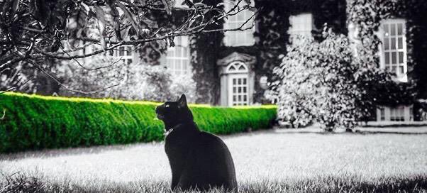 Hi <a href="/TheScript_Danny/">Danny O'Donoghue</a> how are u?😉Did u shoot some other pics since your🚁flight over London?My passion is📷Have a guess?