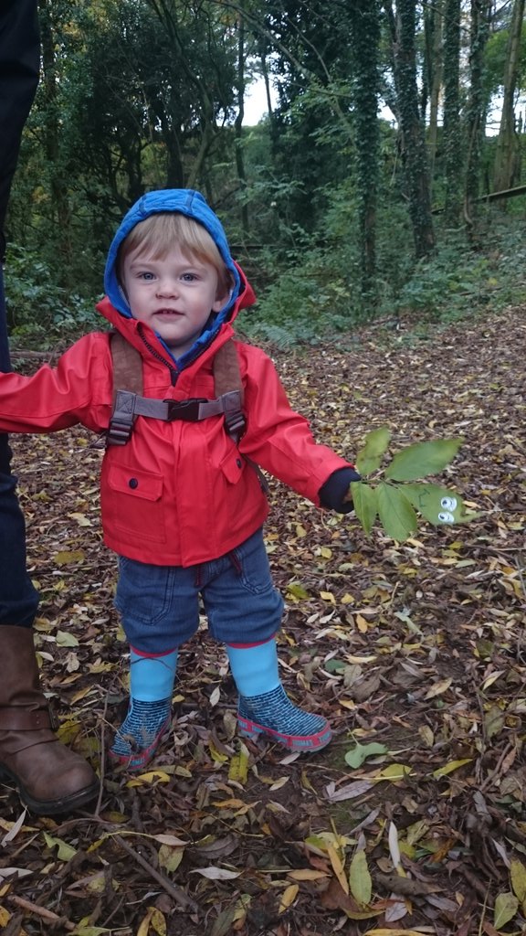 Enjoying the Halloween fun at our Babes in the wood session today @GMCFWales #naturesplayground #weloveautumn