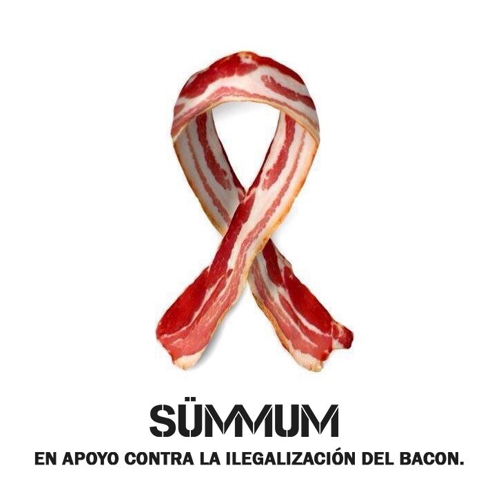 Sala Sümmum tweet media