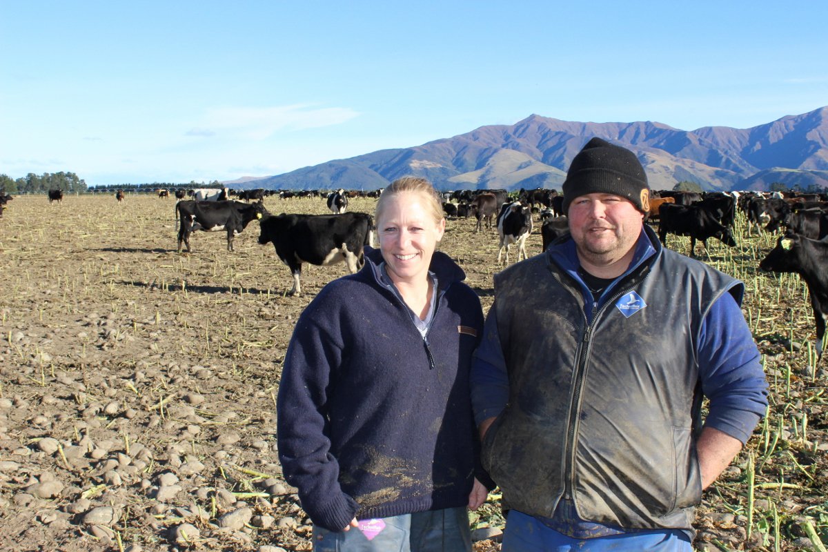 MyMilkNZ's tweet photo. "Succession planning was a factor." Find out why Andrew &amp; Sarah chose MyMilk. https://t.co/cRTS2TwfDo https://t.co/OPrtH31Us4