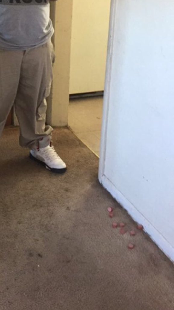 SQUlDZ's tweet photo. Bruh how you gon just casually have cut up hot dogs on the carpet RT "@troytheblackguy : YA BOY FRESH💯" https://t.co/FAfbYtAIkk
