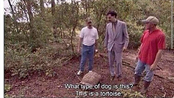 BudPictures's tweet photo. When you're high af at the zoo and trying to act normal https://t.co/5ddA0KSuea