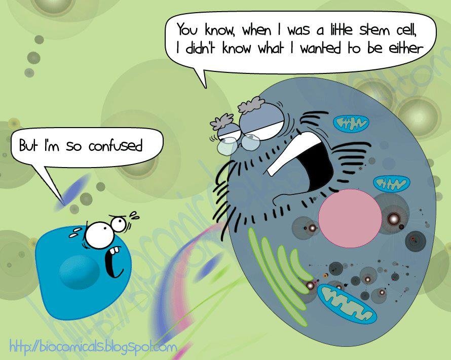 MrCell14's tweet photo. #StemCellPuns #LOL https://t.co/j1YQ5r1ZSN