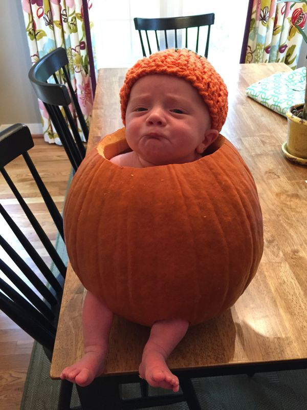 It’s that magic time of year when people put their babies into pumpkins.