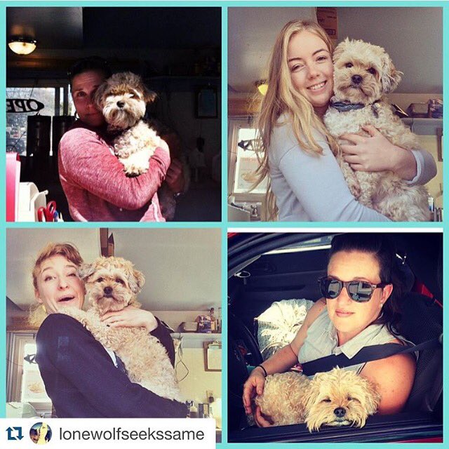 steveorenos's tweet photo. One of our favourite #drivethrudogs Lou! #idrovethru https://t.co/wbmMpkynCw