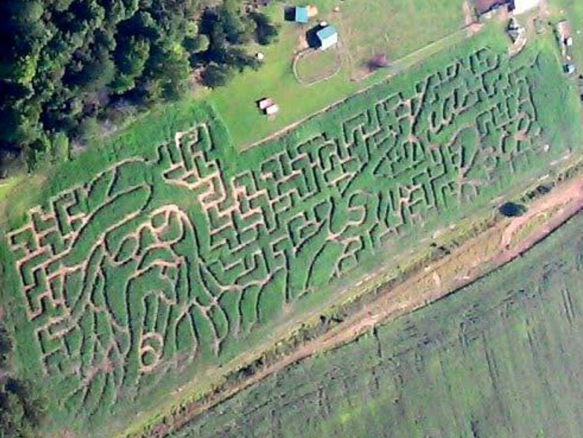 Gmapumpkinpatch's tweet image. Hey @KidRock, we think you look good in corn rows!