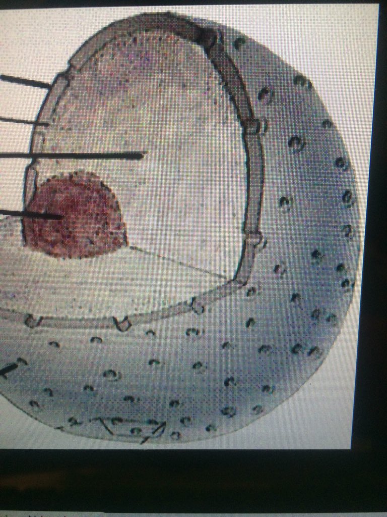nucleus_cage's tweet photo. They cover my envelope, allow small molecules to pass in and out of me... they're #mypores #luvurself #nomakeup https://t.co/yck0PaPC1K