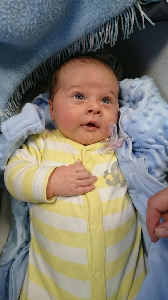 flyingdavidt's tweet image. #nephewlove