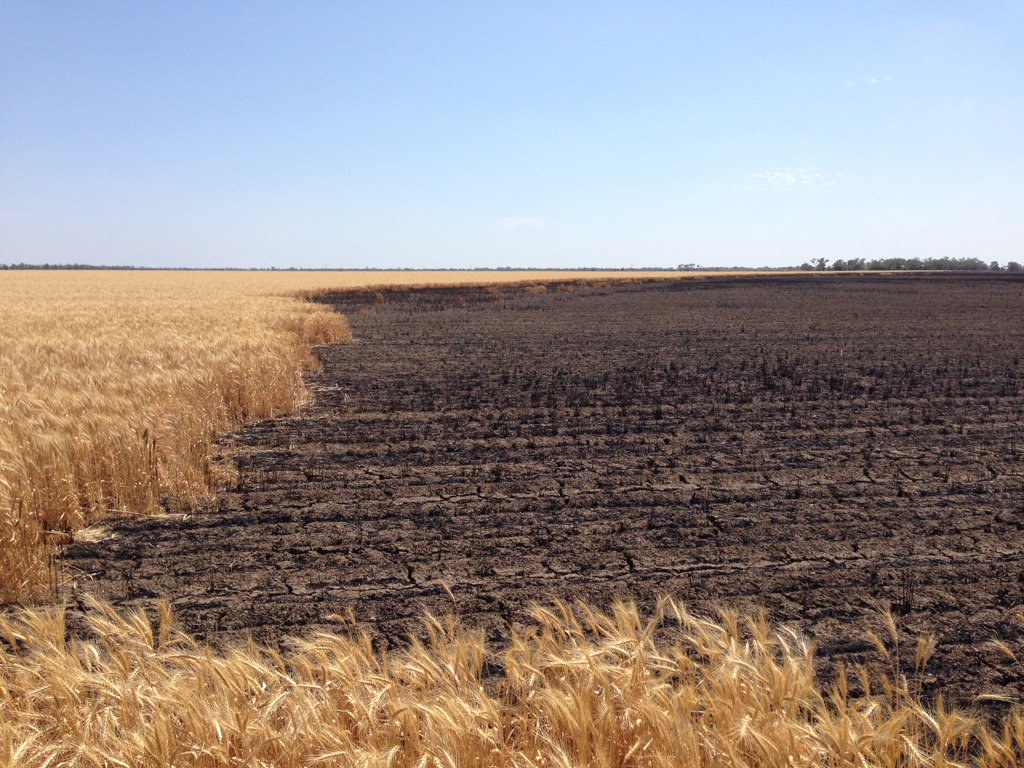 So this is why you insure your crop #harvest15 #lightning