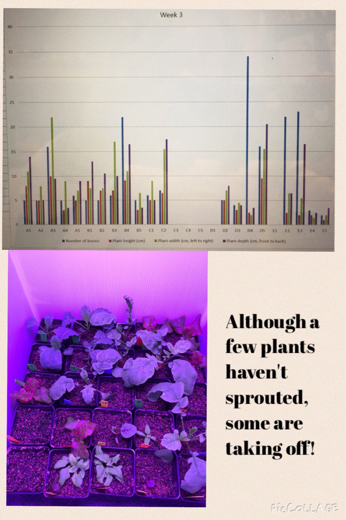 ErinMcCormickFL's tweet photo. Week three data! @fairchdchallnge #journeytomars #botany https://t.co/55rN1rehOB