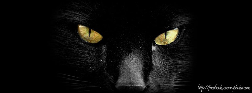 muniqui19's tweet image. Went to bed seeing
#AssaultAtSpringValley #springvalleyhigh
Mood: